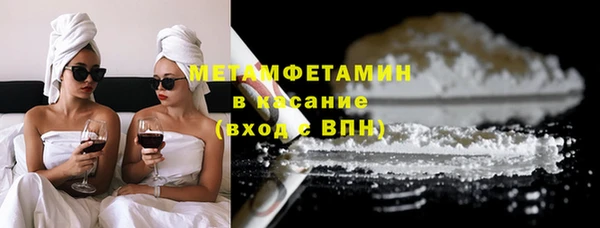 трава Белокуриха