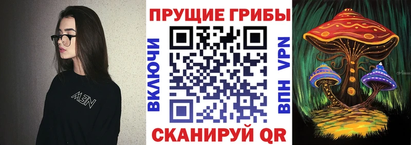 shop состав  купить закладку  Дегтярск  Галлюциногенные грибы ЛСД 